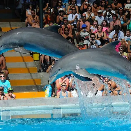 At The Appartement Alvor